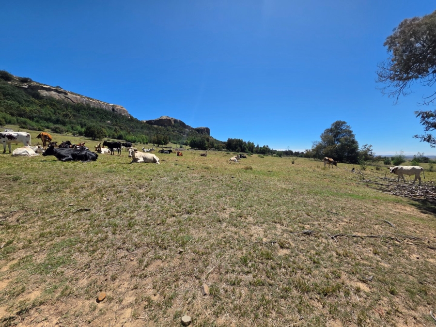 Commercial Property for Sale in Bethlehem Free State